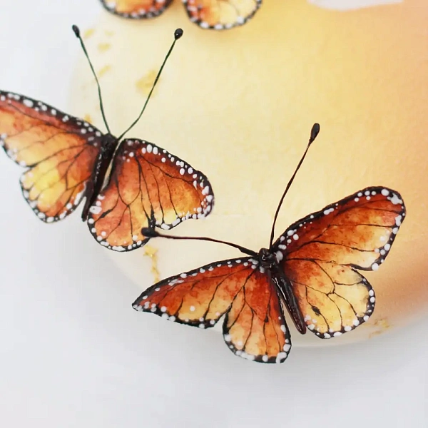 Торт «Butterflies»_фото_товара2